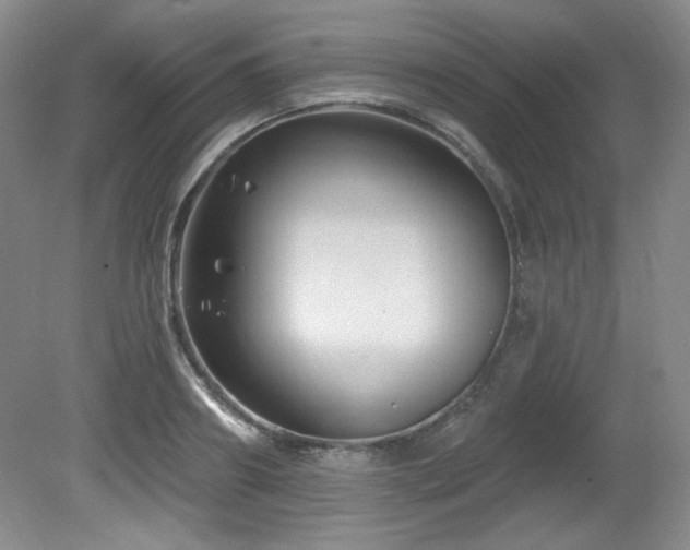 X0000080790890200612151452