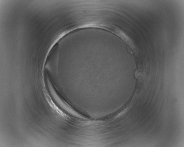 X0000080790892200612151452