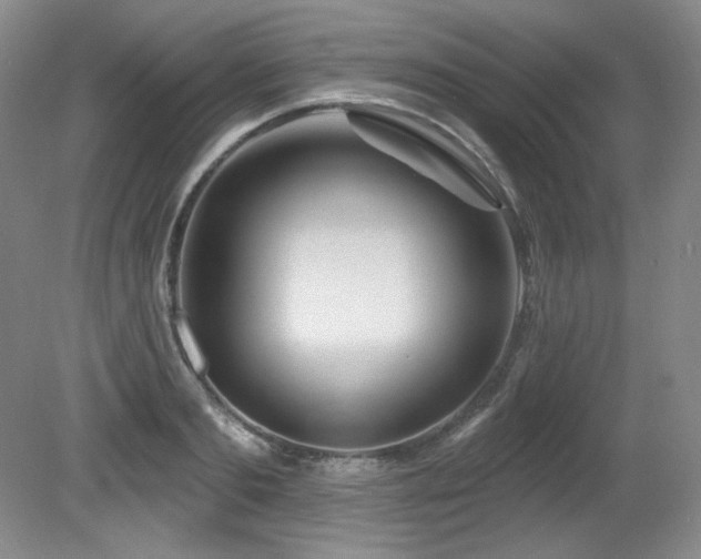 X0000080790893200612151452