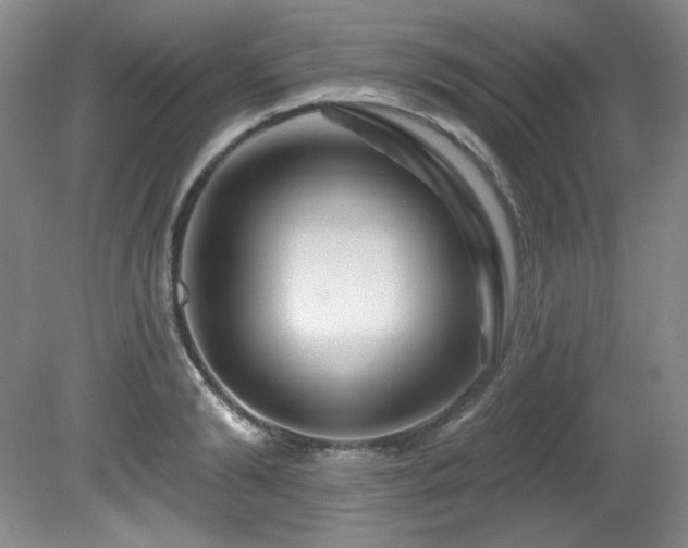 X0000080790894200612151452