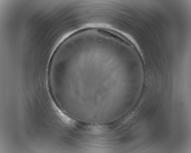 X0000080790895200612151452