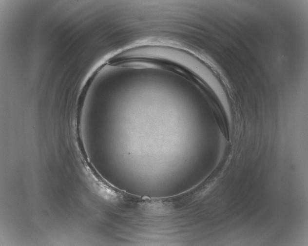 X0000080790896200612151452