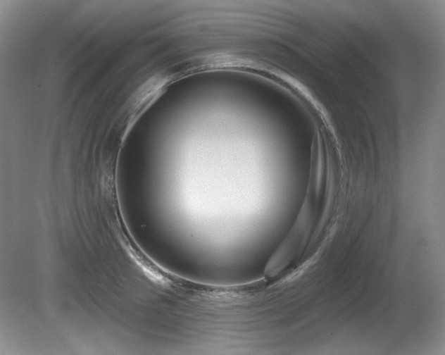 X0000080790897200612151452