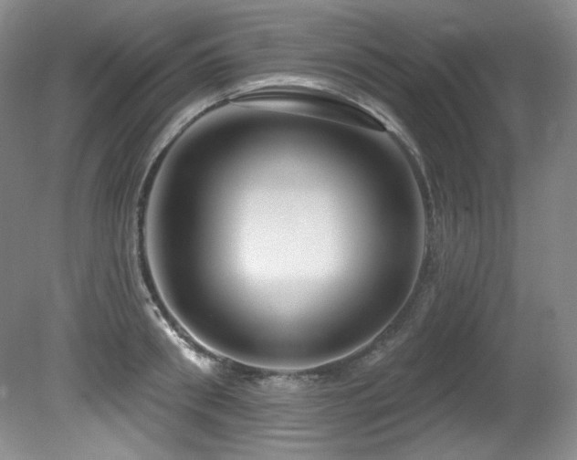 X0000080790898200612151452