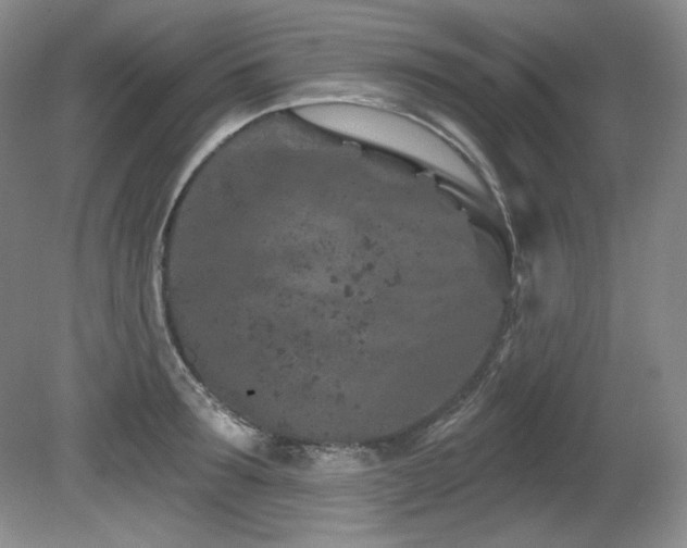 X0000080790899200612151452