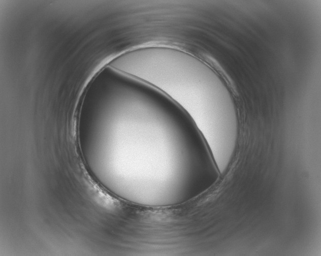 X0000080790900200612151452
