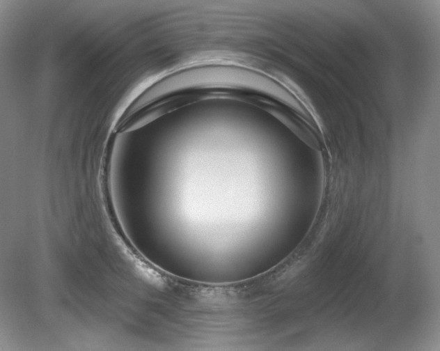 X0000080790901200612151452