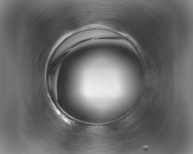 X0000080790902200612151452