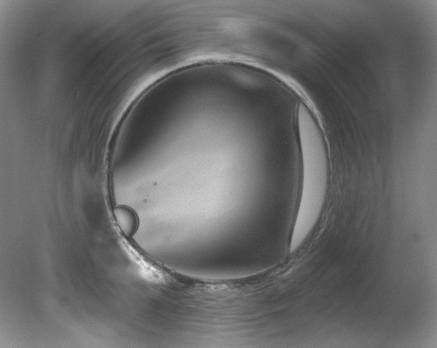 X0000080790903200612151452