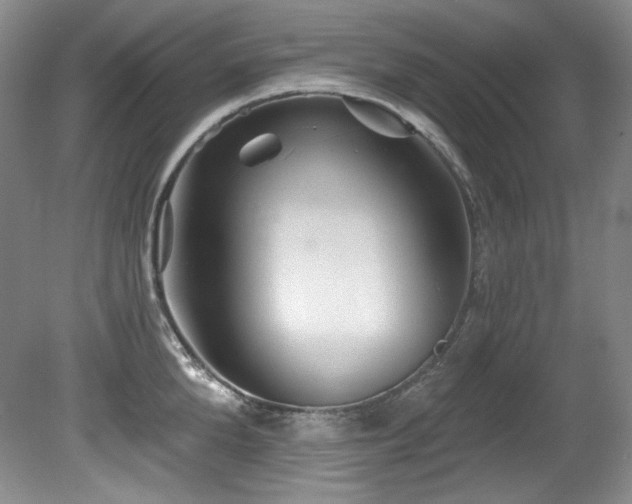 X0000080790904200612151451