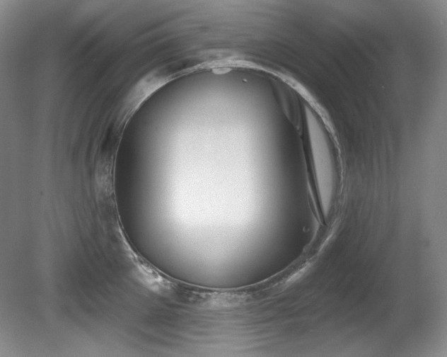 X0000080790905200612151451