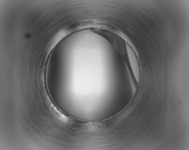 X0000080790906200612151451