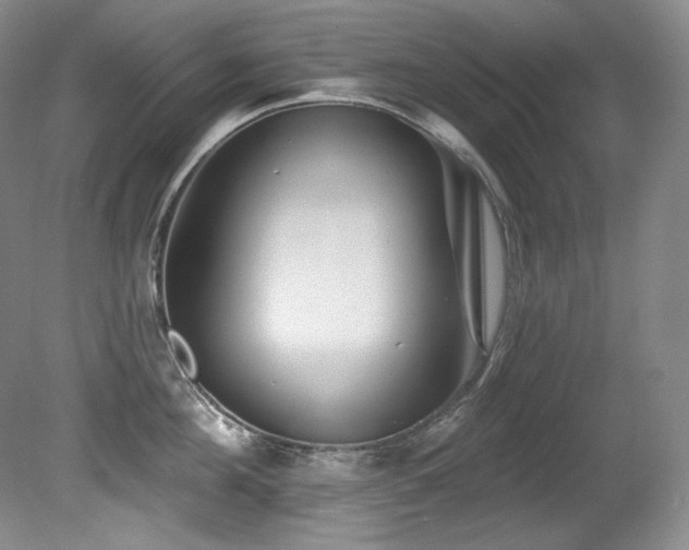 X0000080790908200612151451
