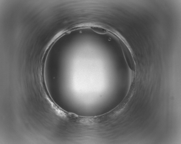 X0000080790909200612151451