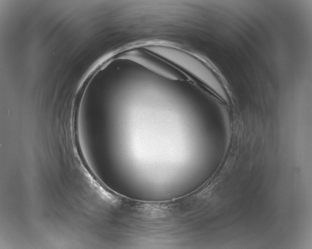 X0000080790910200612151451