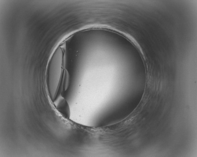 X0000080790911200612151451