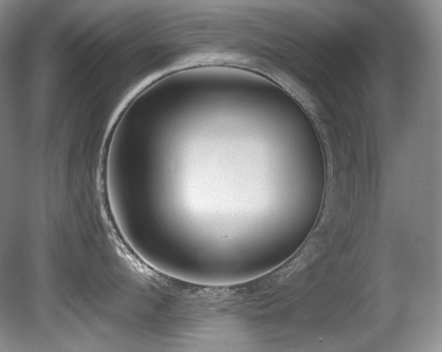 X0000080790912200612151451