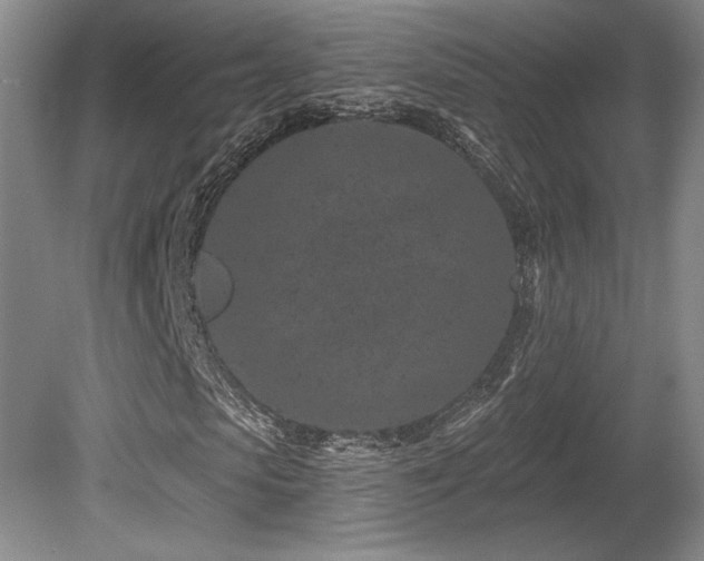 X0000080790913200612151451