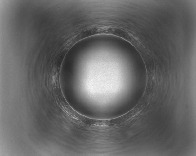 X0000080790914200612151451
