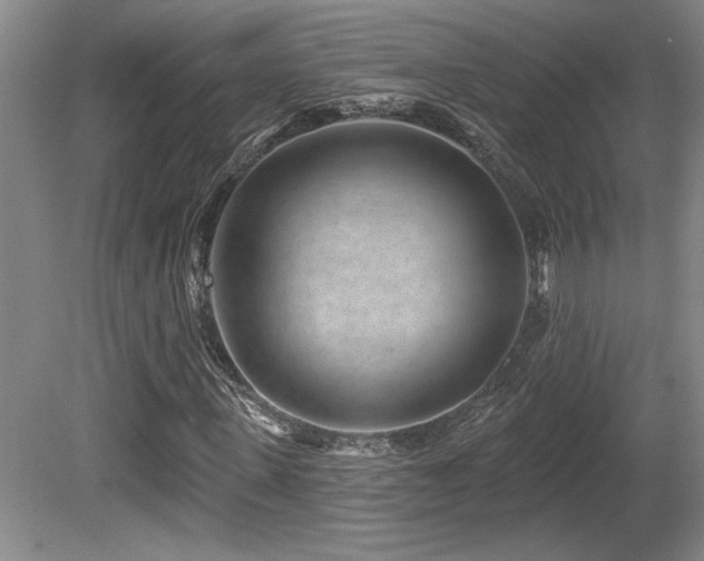 X0000080790915200612151451