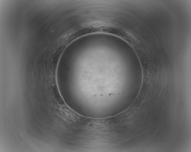 X0000080790917200612151451
