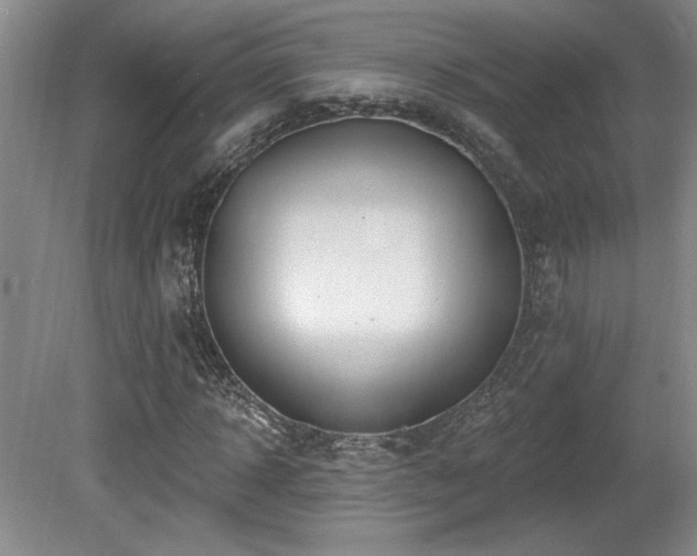 X0000080790918200612151451