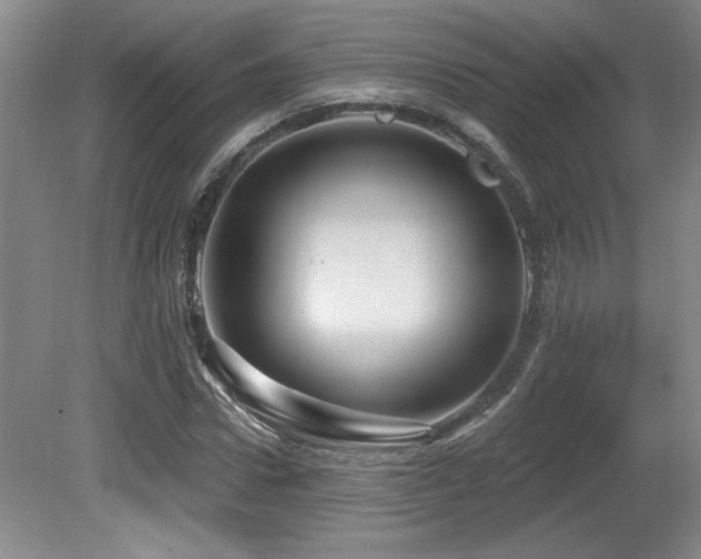 X0000080790922200612151451