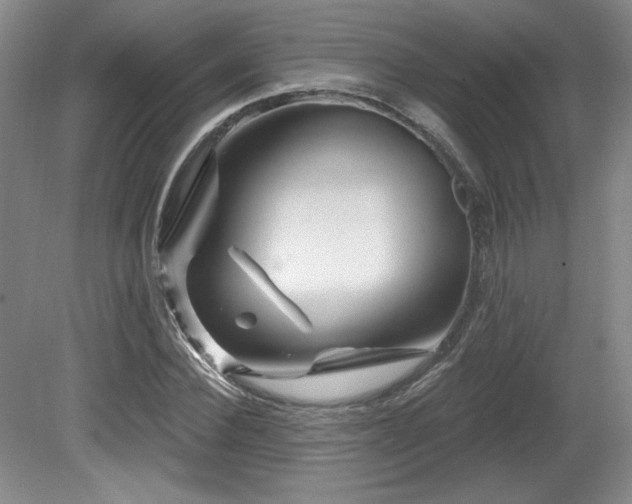 X0000080790924200612151451