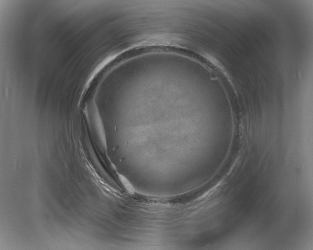 X0000080790925200612151451