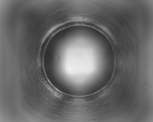 X0000080790927200612151451