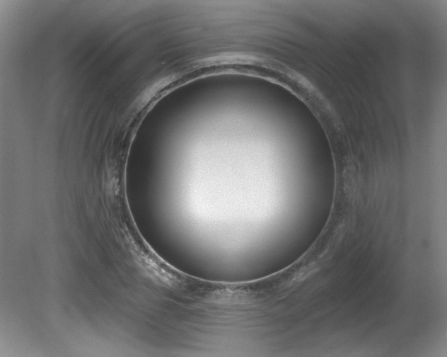 X0000080790929200612151451