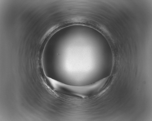 X0000080790930200612151451