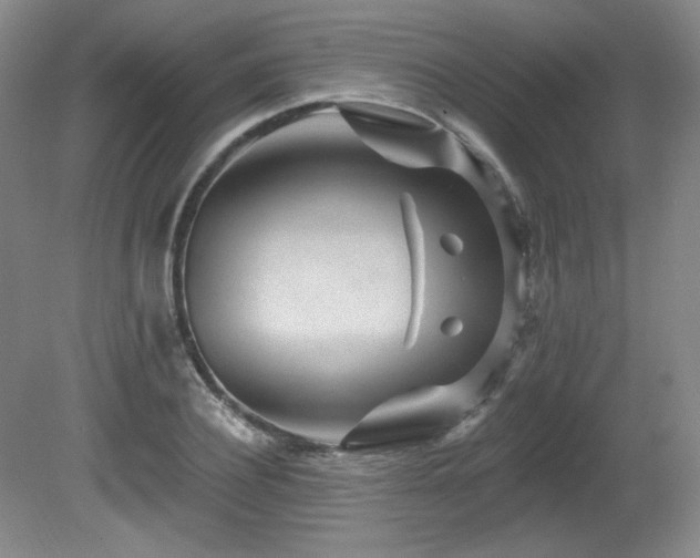 X0000080790932200612151451
