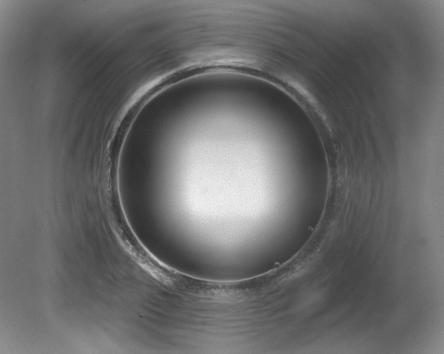X0000080790933200612151451