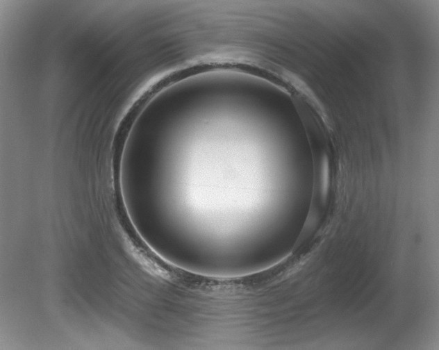 X0000080790934200612151451