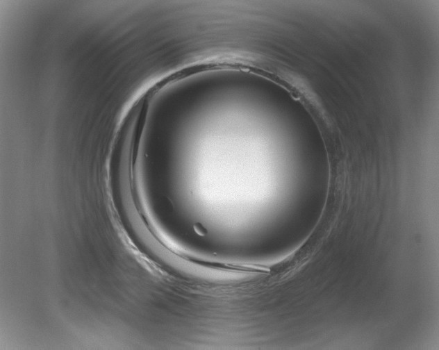 X0000080790936200612151451