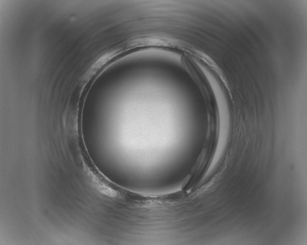 X0000080790938200612151451