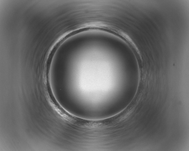 X0000080790939200612151451
