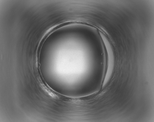 X0000080790940200612151451