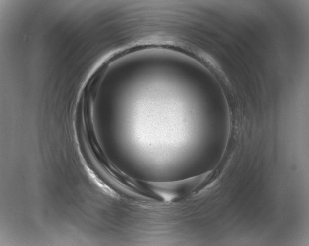 X0000080790942200612151451