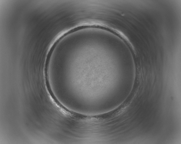 X0000080790943200612151451