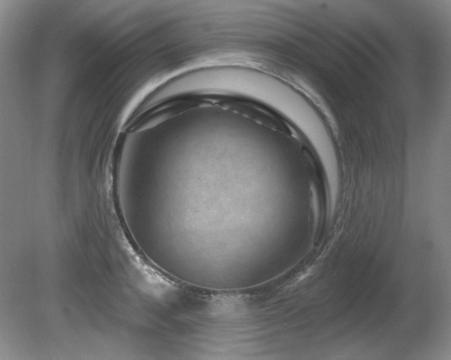 X0000080790944200612151451