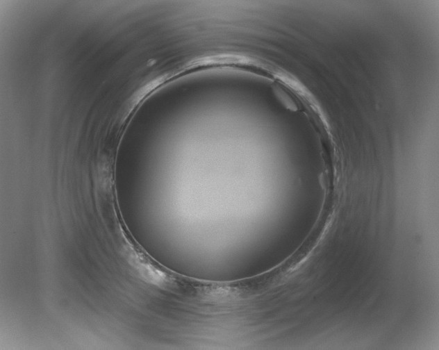 X0000080790945200612151451