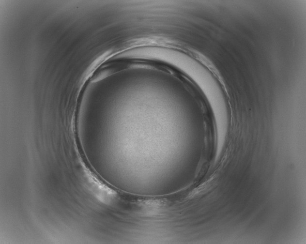 X0000080790946200612151451