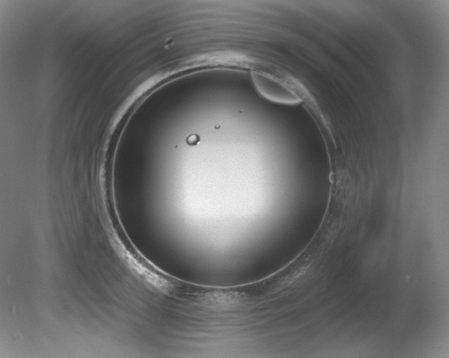 X0000080790947200612151451