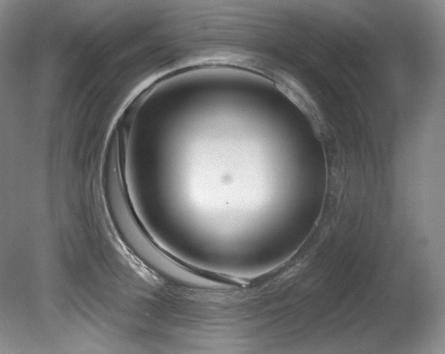 X0000080790948200612151451