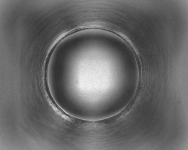 X0000080790949200612151451