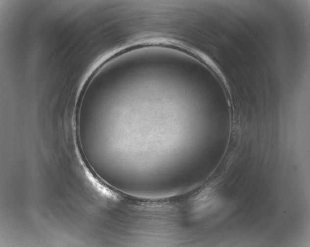 X0000080790951200612151451
