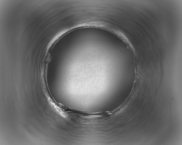 X0000080790952200612151451