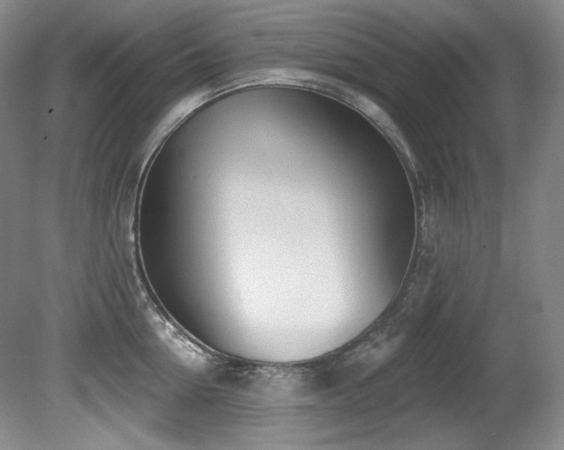 X0000080790954200612151451